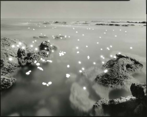 Tokihiro Sato photography - Black and white transparency over lightbox