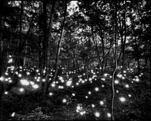 Tokihiro Sato photography - Black and white transparency over light panel