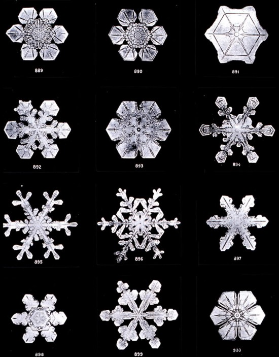 Photo of snow crystals by W.A. Bentley
